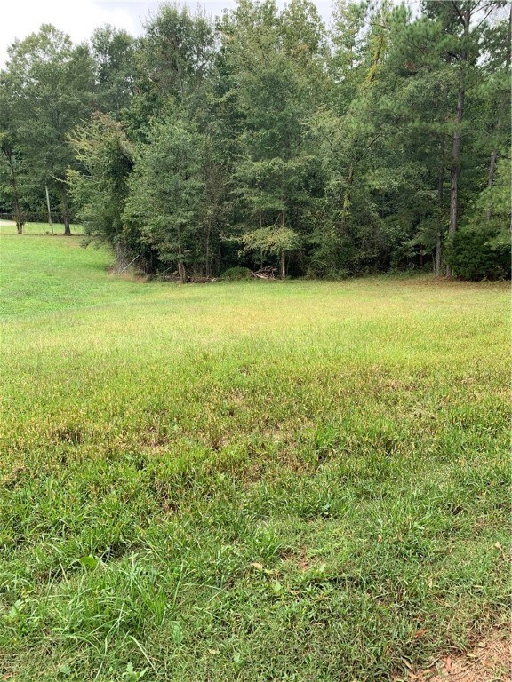 00 Belmina St, Pendleton, SC 29670 - photo 2