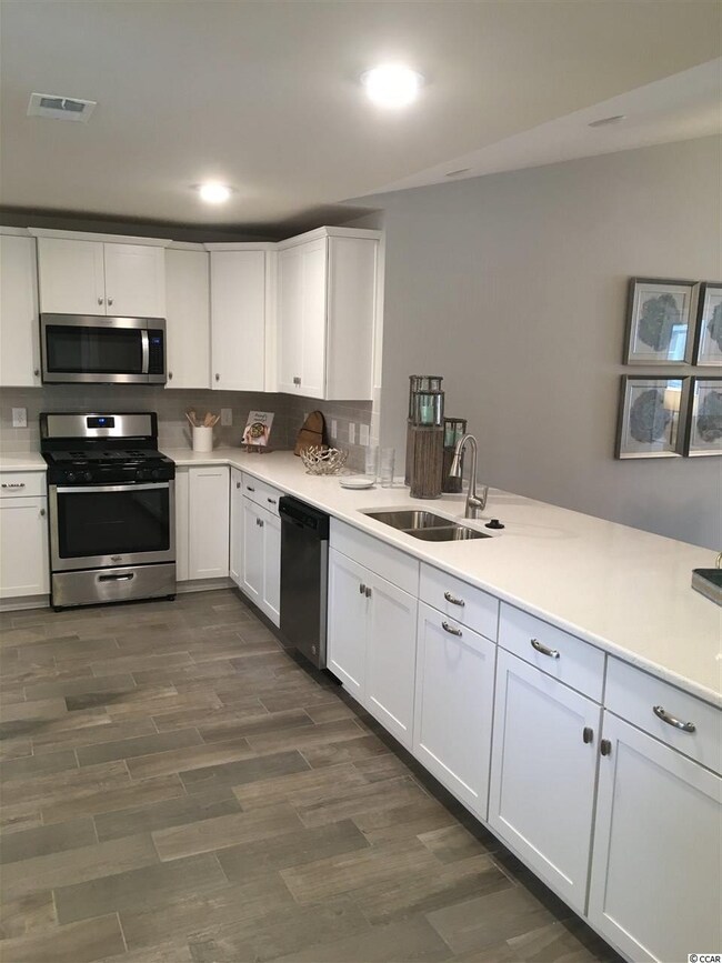 393 Cardita Loop unit lot 24, Myrtle Beach, SC 29588 - photo 3