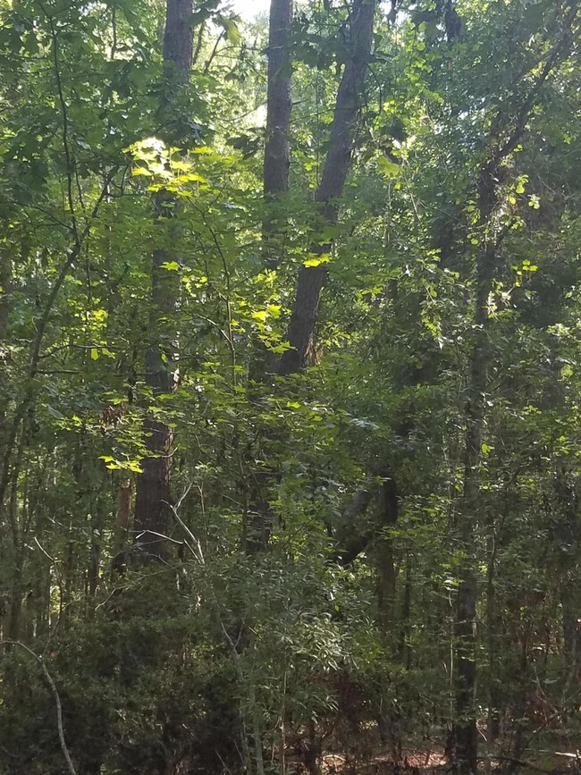 20170715_091353
