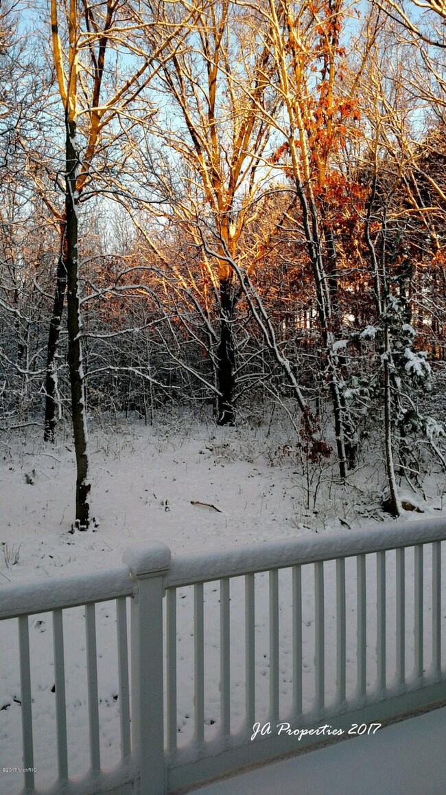 Back Deck