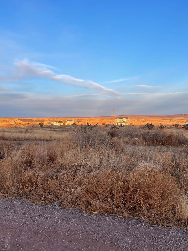 1250 N Starkweather Ln, Pueblo West, CO 81007 - photo 6