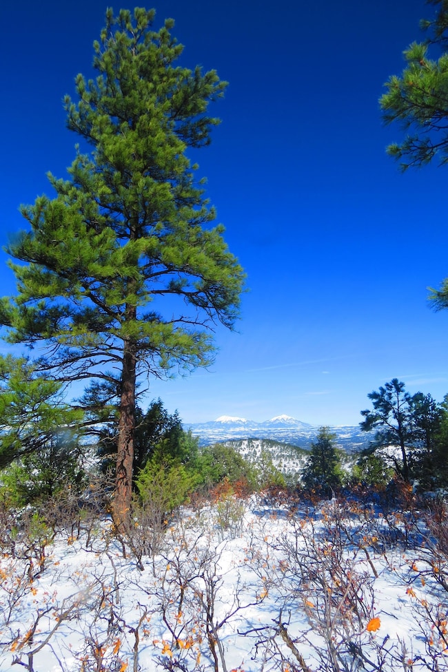 655 Mora Ln unit 79, Trinidad, CO 81082 - photo 7