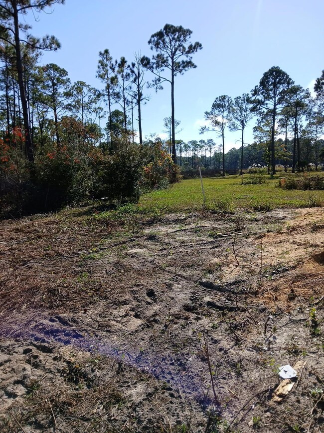 15 Santa Pine St, Santa Rosa Beach, FL 32459 - photo 6