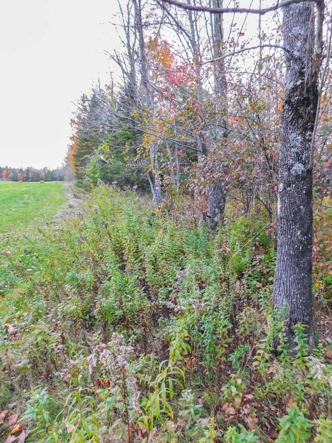 Land boarders field