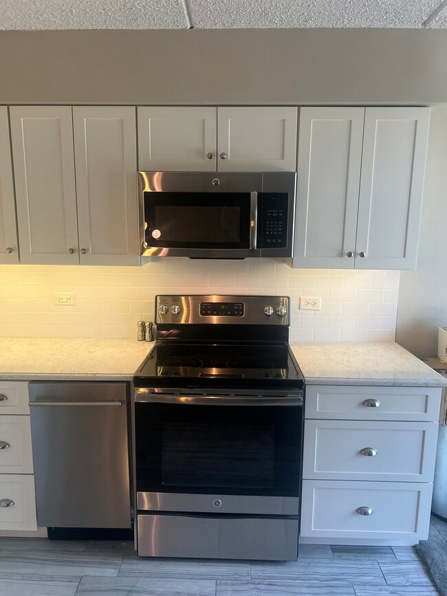 255 S West Ave unit 413, Elmhurst, IL 60126 - photo 2