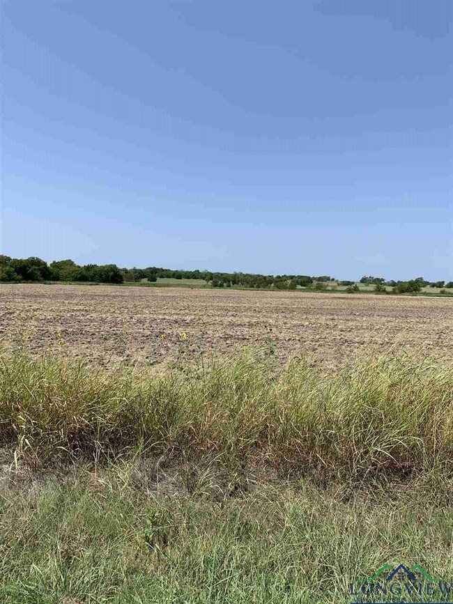 TBD #3 County Road 4307, Greenville, TX 75401 - photo 2