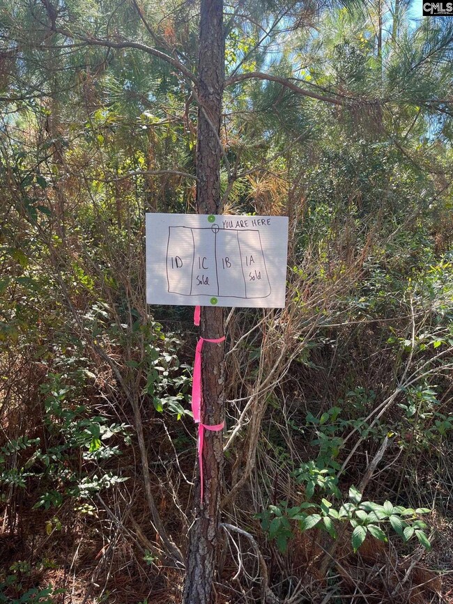 Bff 1e Brunson Teal Rd unit Bff 1e, Patrick, SC 29584 - photo 7