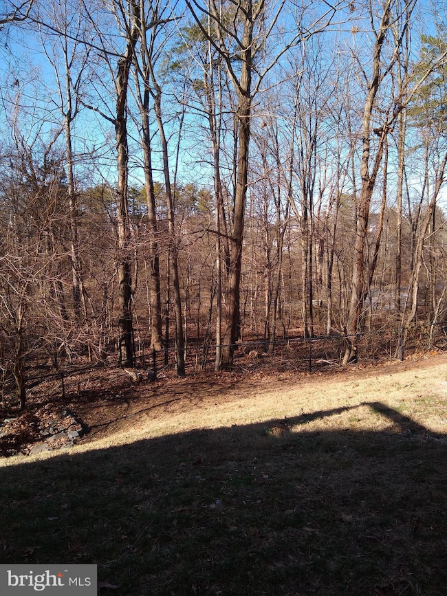 10038 Moxleys Ford Ln unit 801, Bristow, VA 20136 - photo 6