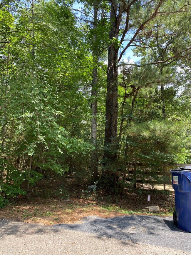 6503 Skylight Ln, Magnolia, TX 77354 - photo 5