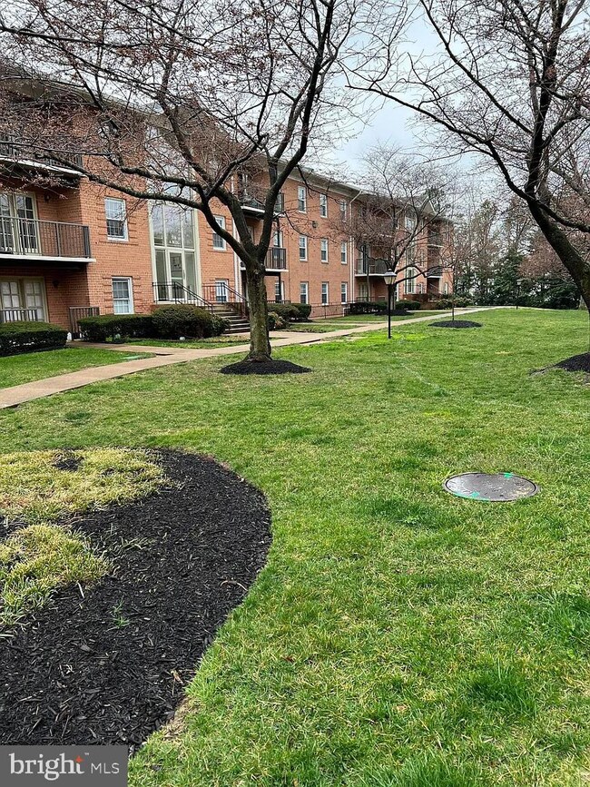 3330 Spring Ln unit D24, Baileys Crossroads, VA 22041 - photo 3