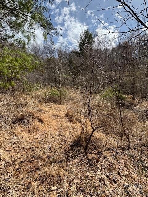 25 Green Meadow Ln unit 25, Mars Hill, NC 28754 - photo 2