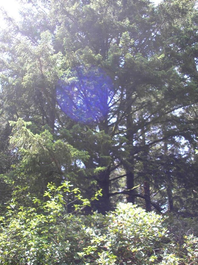 TREES