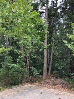 Lot 13 Bonnie Cir, Bella Vista, AR 72714 - photo 3