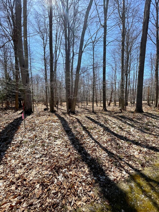 0 W Nanninga Dr unit 19, Ludington, MI 49431 - photo 4