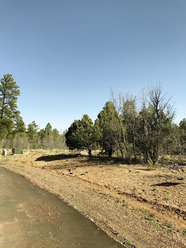 5983 LUMINARY Way, Lakeside, AZ 85929
