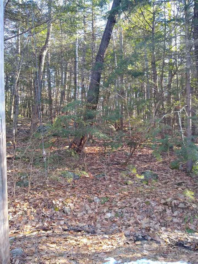 0 Forest Rd unit 7, Wolfeboro, NH 03894 - photo 5