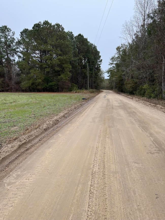 00 Ryn St, Cope, SC 29038 - photo 3