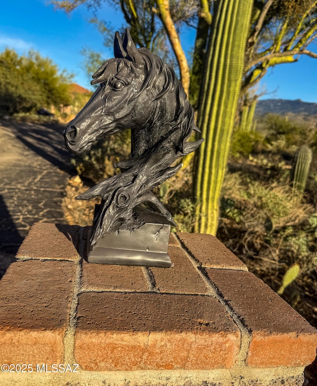 13670 E Camino La Cebadilla, Tucson, AZ 85749 - photo 7