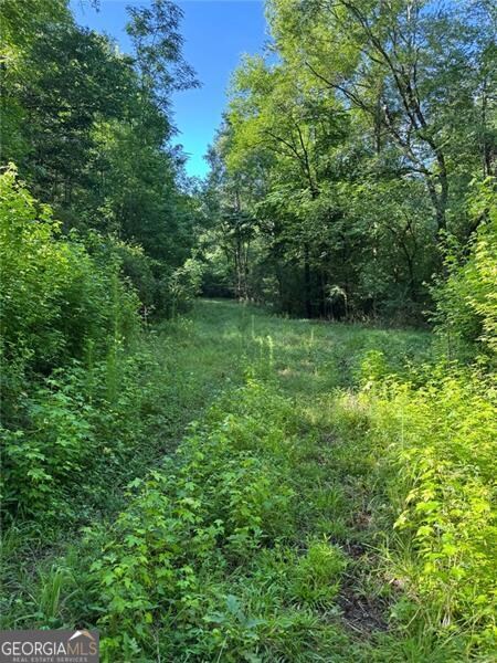 0 Saffold Rd unit 10560494, Buckhead, GA 30625 - photo 5