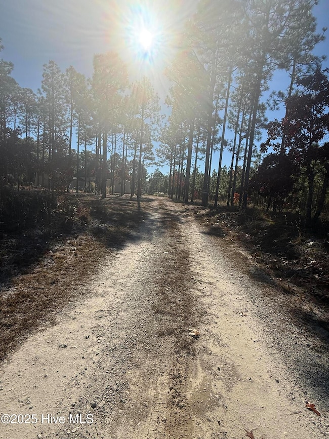 531 Eagle Rd, Newport, NC 28570 - photo 6