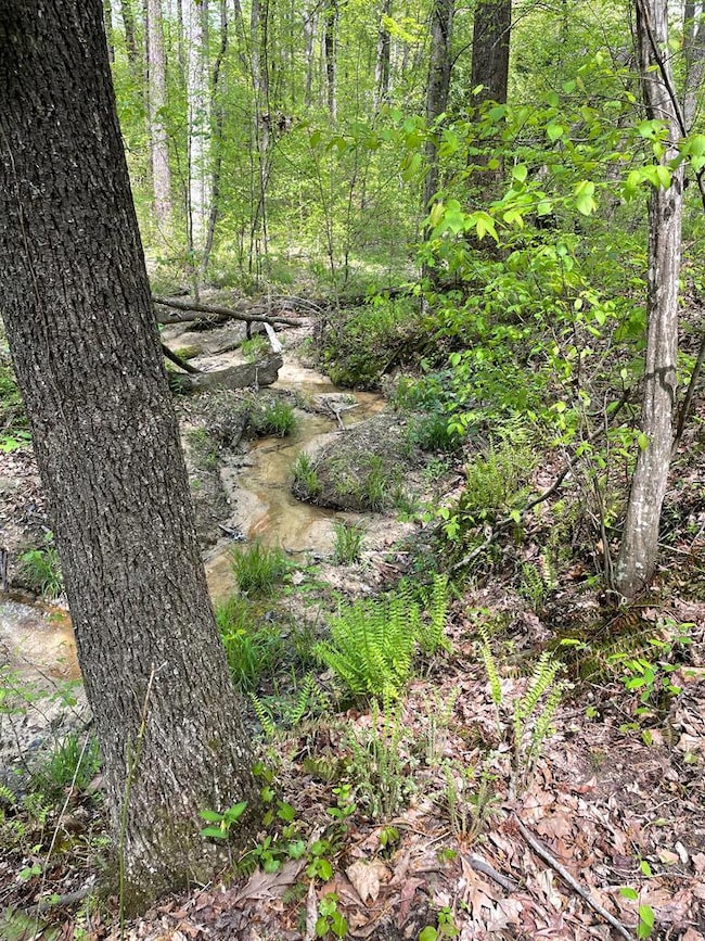 0 Snow Hill Rd unit 70970, Alton, VA 24520 - photo 5