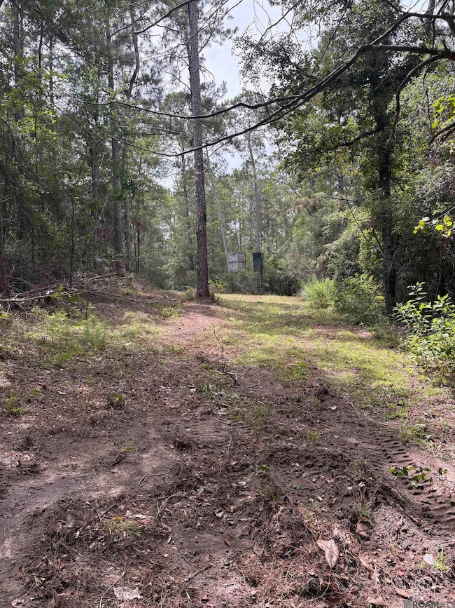 83234 Isabel Swamp Rd, Bush, LA 70431 - photo 6