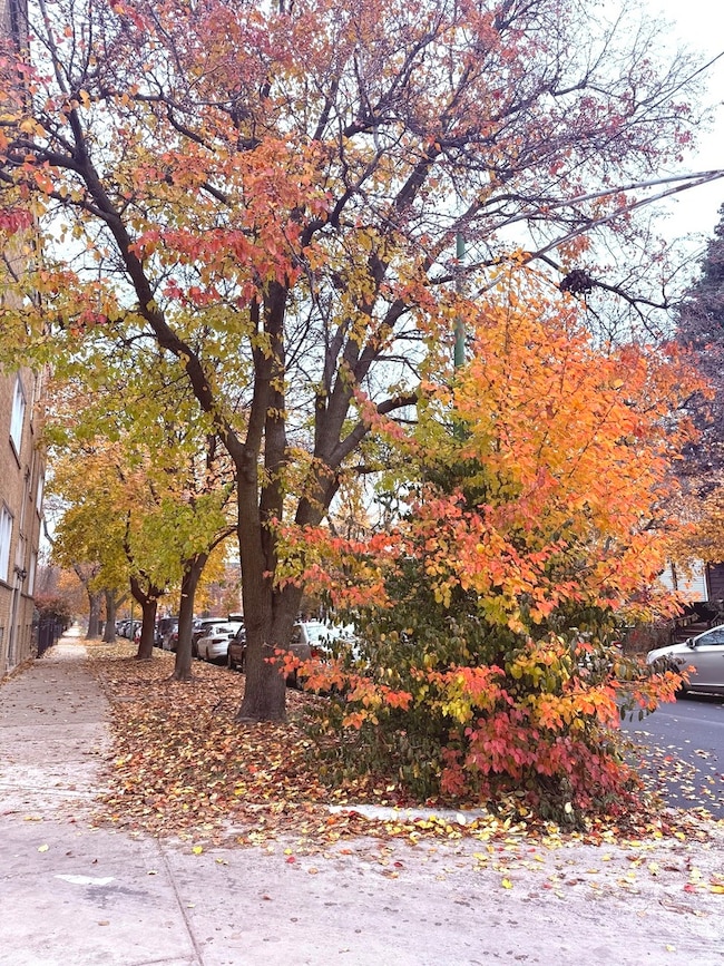 4034 N Monticello Ave, Chicago, IL 60618 - photo 3