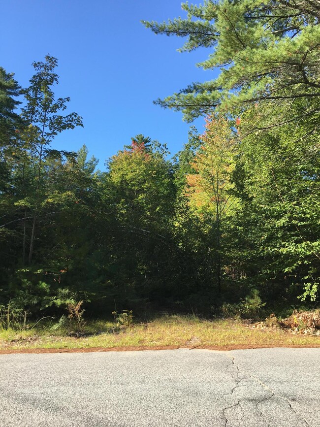 Wooded
