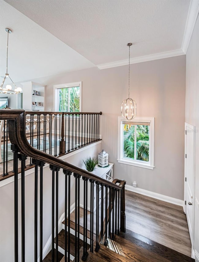 17 Franklin Ct S unit D, Saint Petersburg, FL 33711 - photo 7