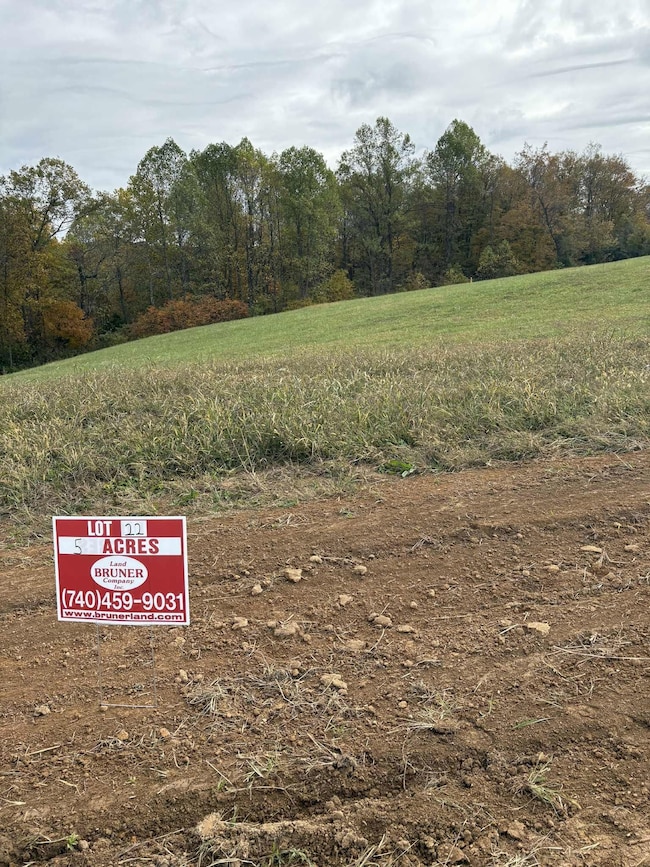 Pine Grove Ch Spur Rd, Vanceburg, KY 41179 - photo 3