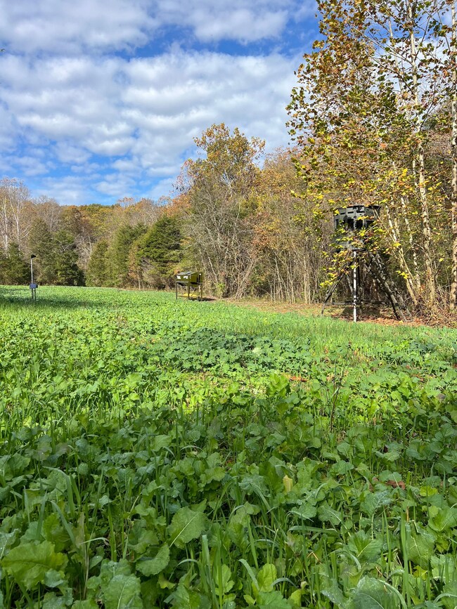 Harriet Rd, Hillsboro, OH 45133 - photo 4