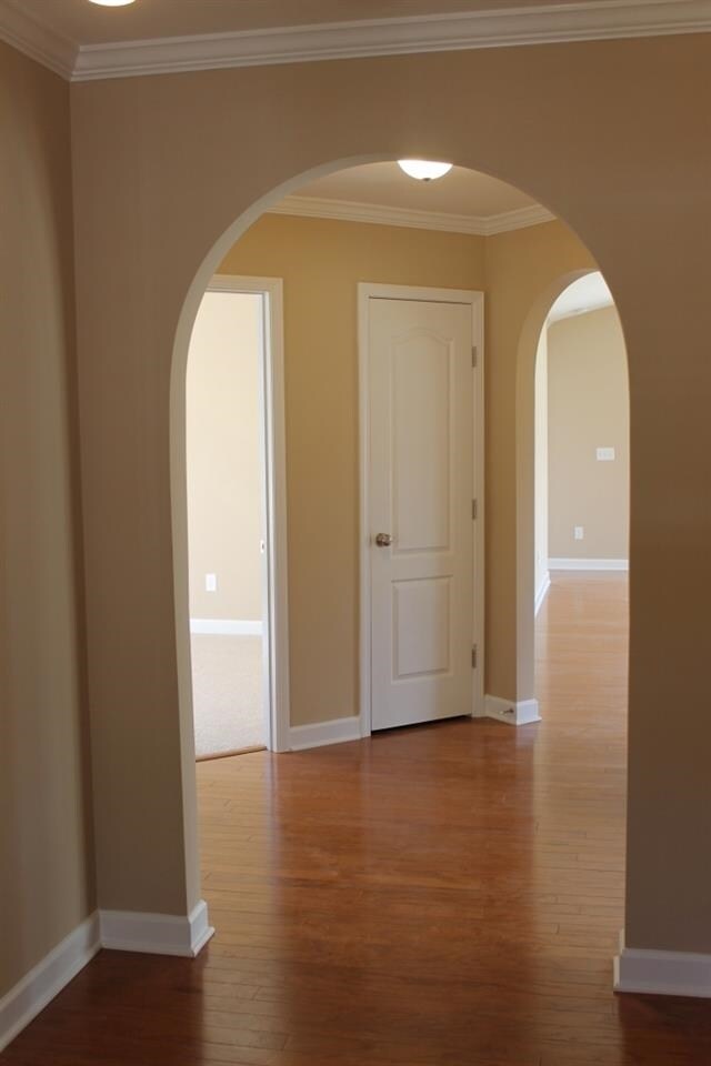 Additional Photo