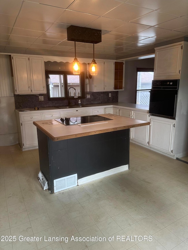 9469 Rossman Hwy, Eaton Rapids, MI 48827 - photo 3