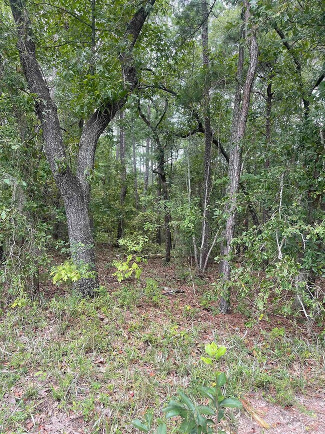 Tr 2 Hampton Rd, Conway, SC 29527 - photo 6