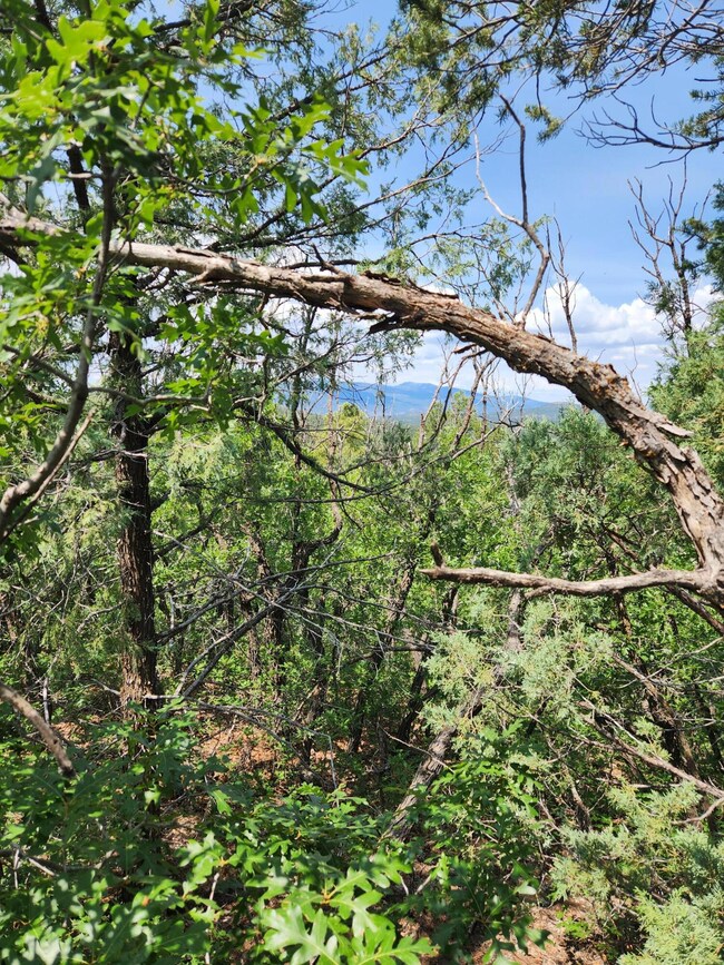 5 Spies Rd, Ponderosa Pine, NM 87059 - photo 5