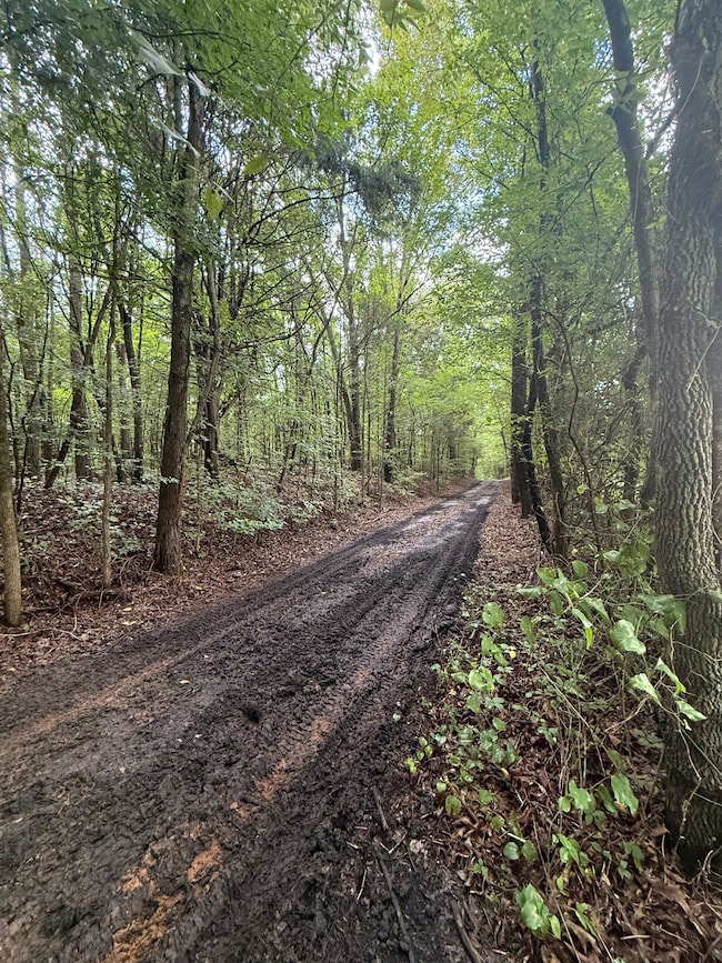 0 Perry Chapel Rd, Ashland, MS 38603 - photo 6