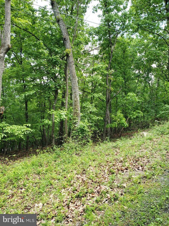 0 Lot 378 Kits Ct unit VAWR2003128, Front Royal, VA 22630 - photo 5