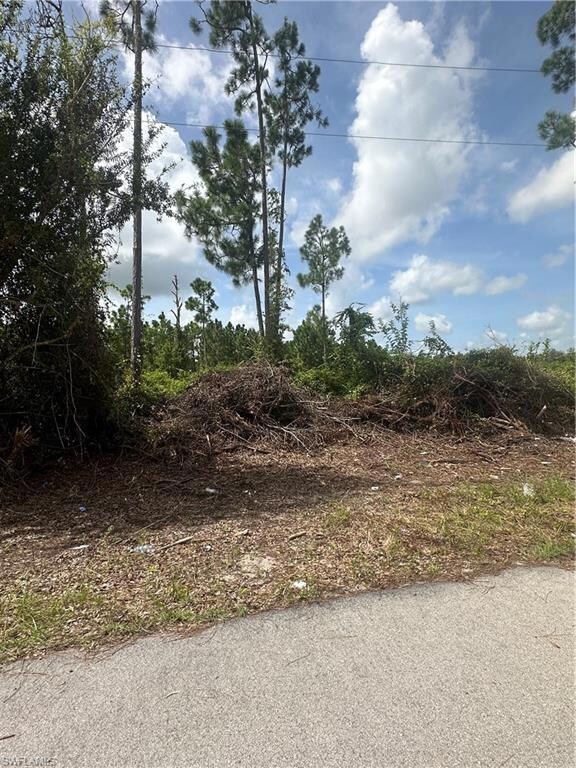 1054 Coleridge St, Lehigh Acres, FL 33974 - photo 3