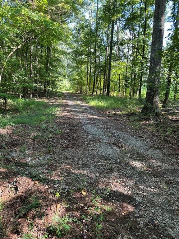 0 Fears Rd unit 7684722, Madison, GA 30650 - photo 5