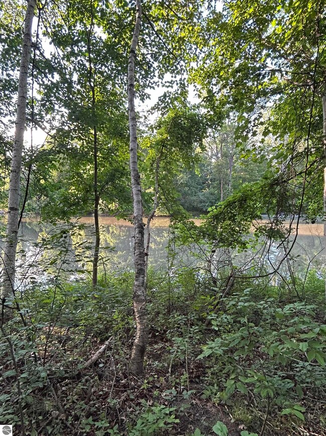 0 Whitetail Ct unit 165 1924976, West Branch, MI 48661 - photo 4