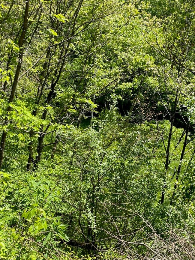 0 Buck Creek (Db 202 Dp 363) unit 117273, Royalton, KY 41464 - photo 2