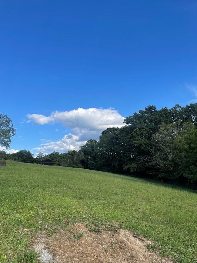 134 Quincy Ln, Lashmeet, WV 24733 - photo 4