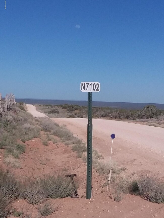 Lot.1.horizon