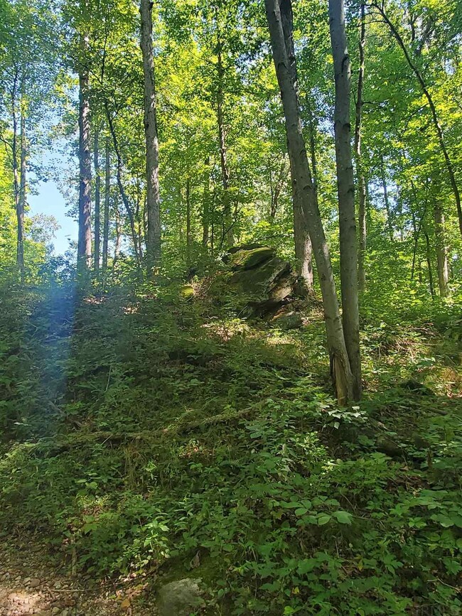 0 E 300 N, Otterbein, IN 47970 - photo 3