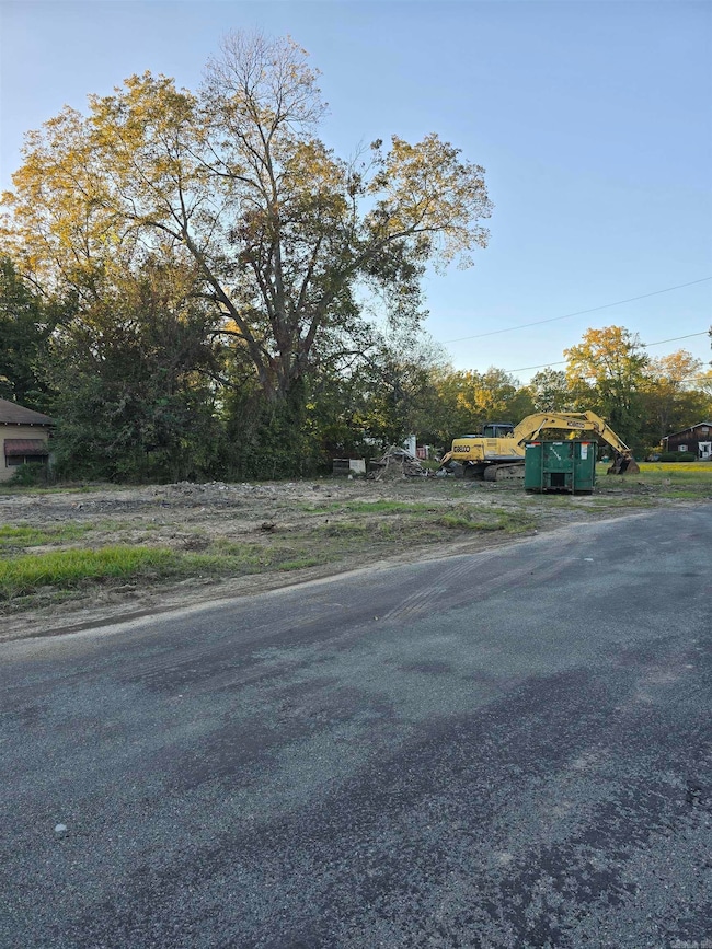 1401 W 16th Ave, Pine Bluff, AR 71603 - photo 3
