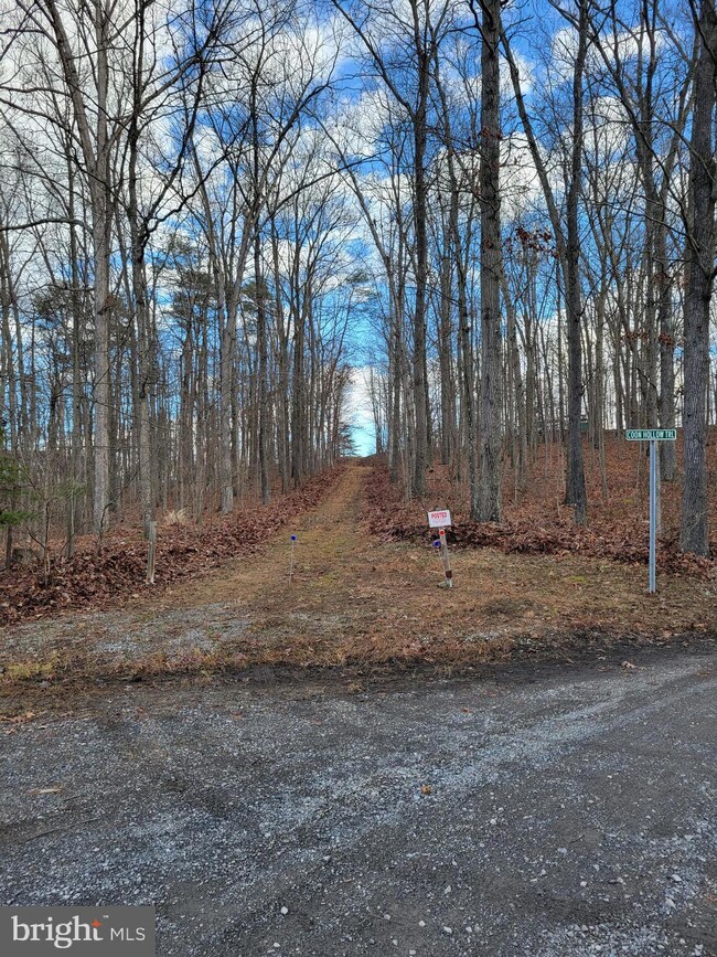 0 Coon Hollow Trail, Hedgesville, WV 25427 - photo 3