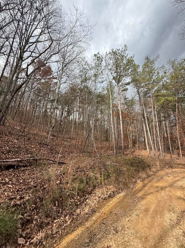 Lot 2 Parksville Rd, Benton, TN 37307 - photo 2
