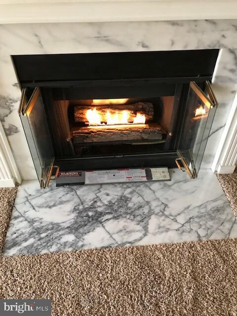 4 Tyler Falls Ct unit B, Baltimore, MD 21209 - photo 2