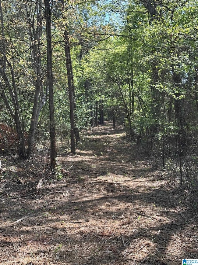 1401 Cobb Rd, Munford, AL 36268 - photo 7