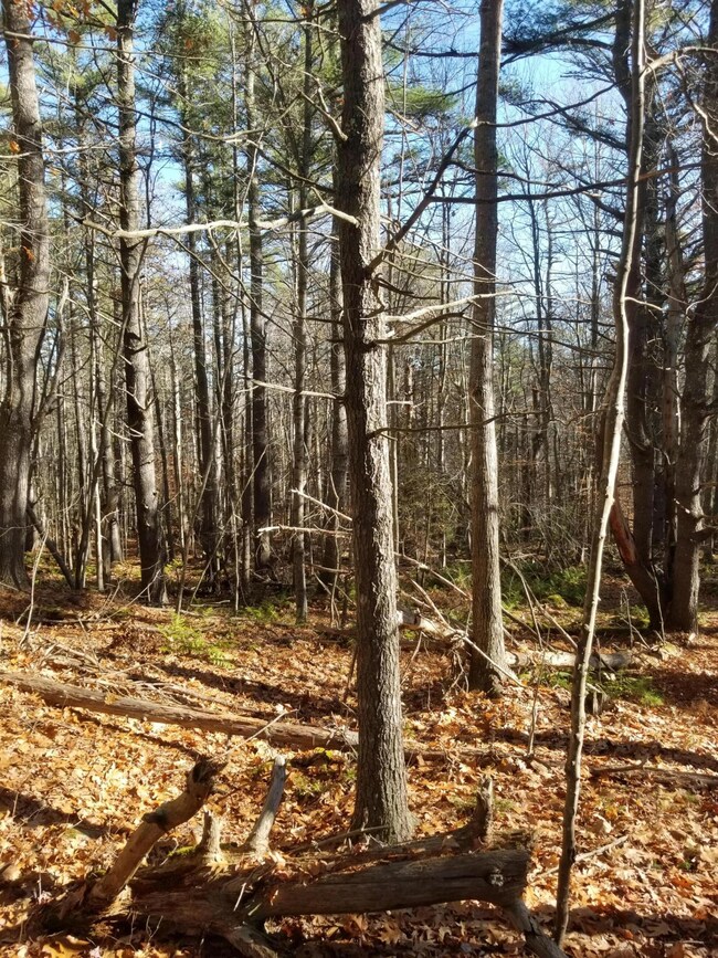 20201110_102030